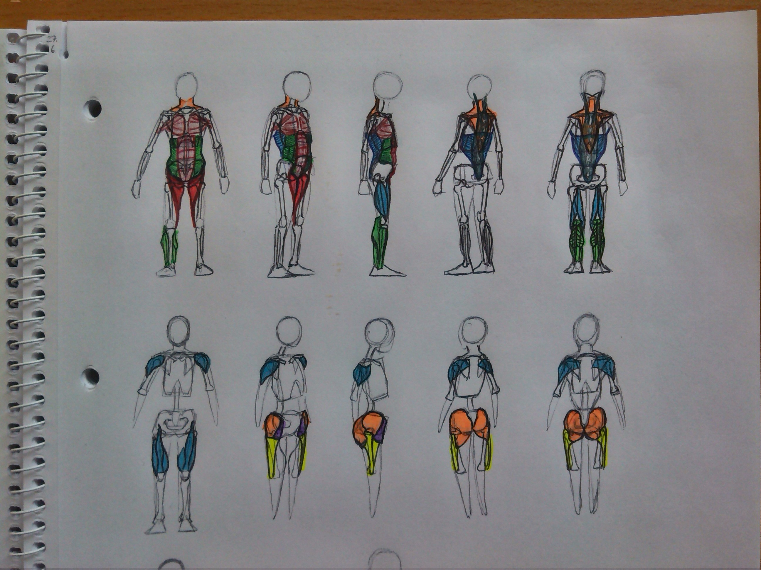 Filename: pensword_gestures15_anatomy_ (3).jpg
Size: 792.98 KB07-01-2024, 04:03 AM